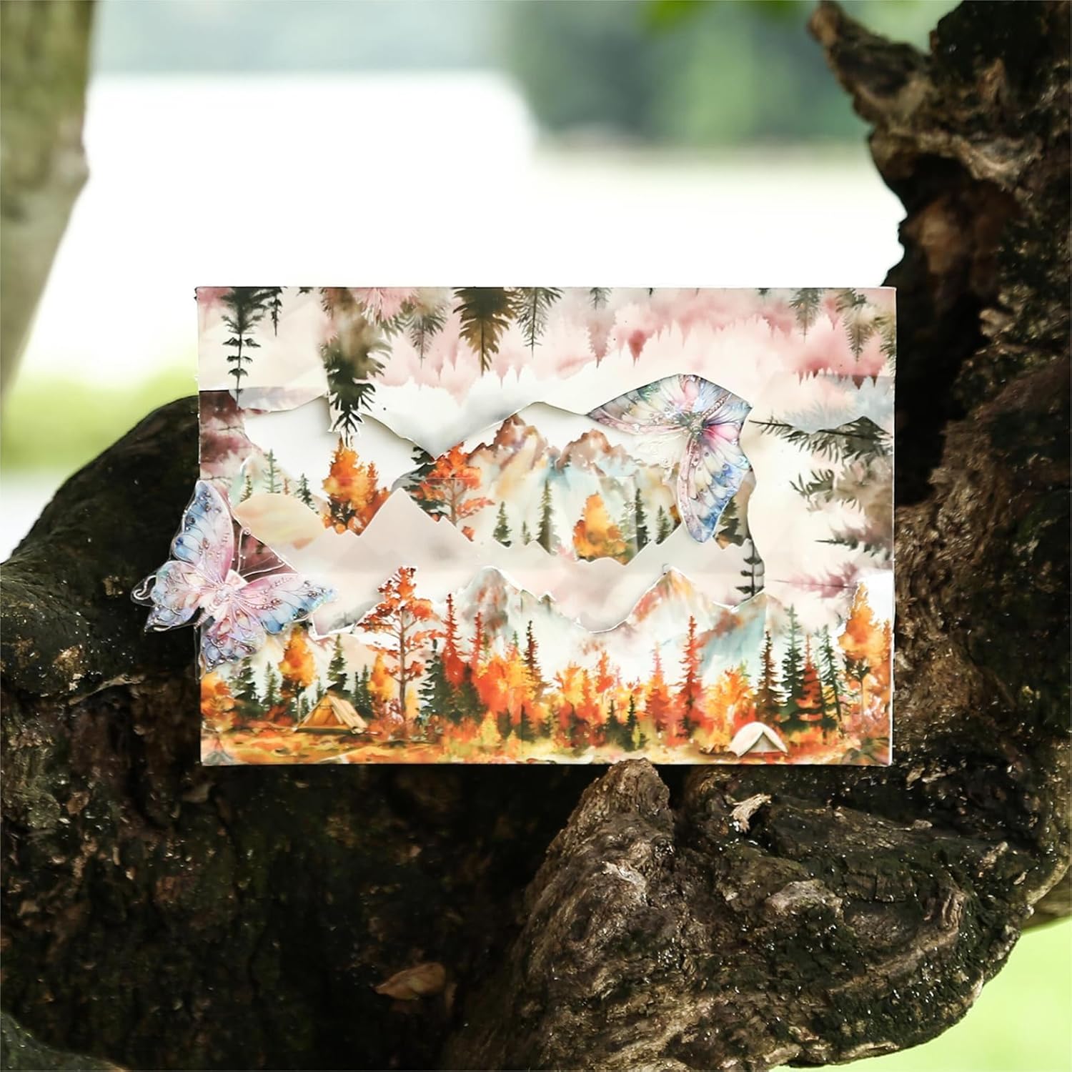 6 Rolls of PET Tape Stickers for Journaling Supplies, Paths Themed Decorative Journal Stickers for Scrapbooking,Planer (Garden Paths)